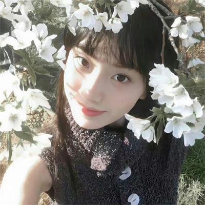 欢迎你到阿尔村